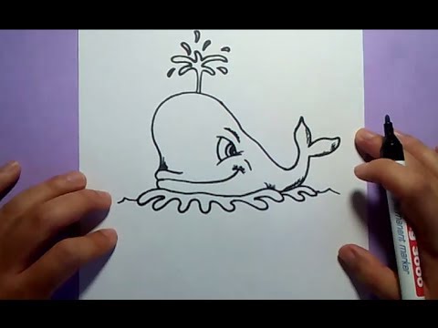 Como dibujar una ballena paso a paso 4 