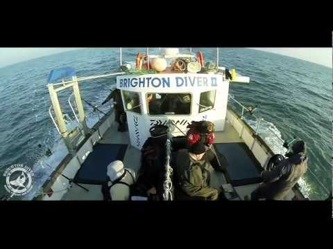 Pollack fishing Brighton diver february 2013