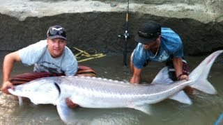 Reel Sturgeon Adventures B.C.