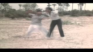 Manchi Manasulu  Bhanuchandar Fight in Sand Action Scene  Bhanuchandar, Rajani, Bhanu Priya