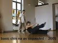 Qin Na 擒拿 - Yue Jia San Shou