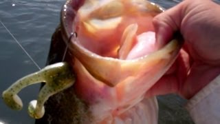 Top Water Frog Bass Fishing Top Water Frog Bass Fishing