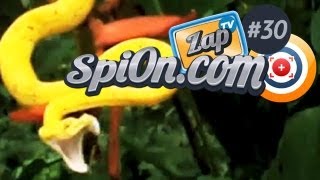 Le zap TV de Spi0n #30