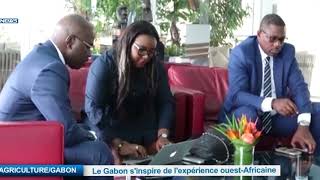 AGRICULTURE/GABON :Le Gabon s’inspire de l’expérience Ouest Africaine