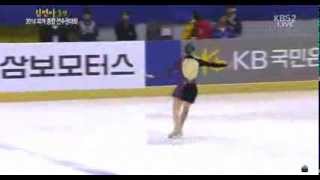 2014 종합선수권 김연아 프리 동영상 Kim Yuna FP Figure Skating