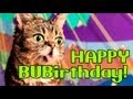 Lil BUBIRTHDAY: BUB Turns 2!