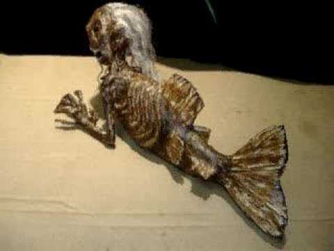 FIJI MERMAID SIDESHOW GAFF