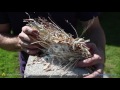 5 Ways to Start a Fire, Using Water
