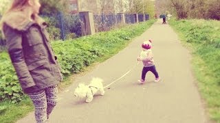 BABY WALKS DOG!