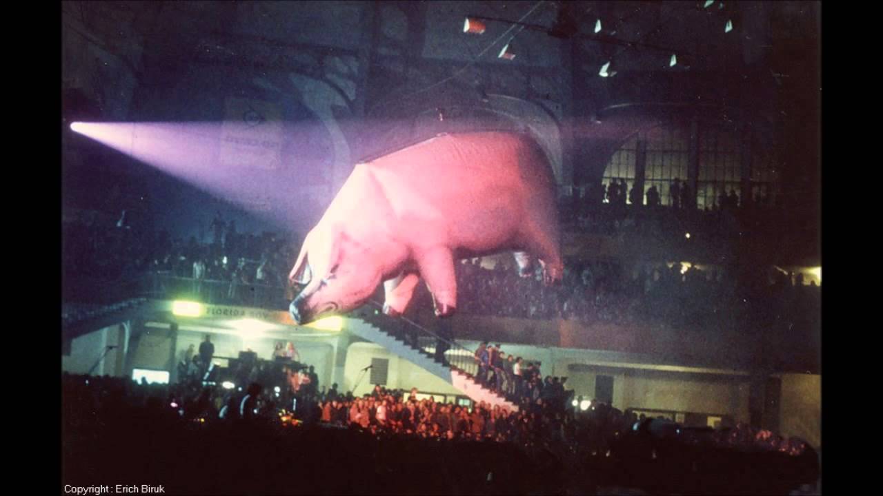 Pink Floyd LIVE ~ PIGS ~ Rowdy Cleveland Show ~ Animals Tour 1977 - YouTube