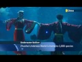 Underwater Fashion Show: Chinese models host aquatic catwalk show in China's Fujian Province