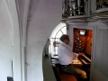 Pipe Organ. Eskild Nielsen