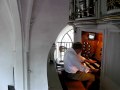 Pipe Organ. Eskild Nielsen