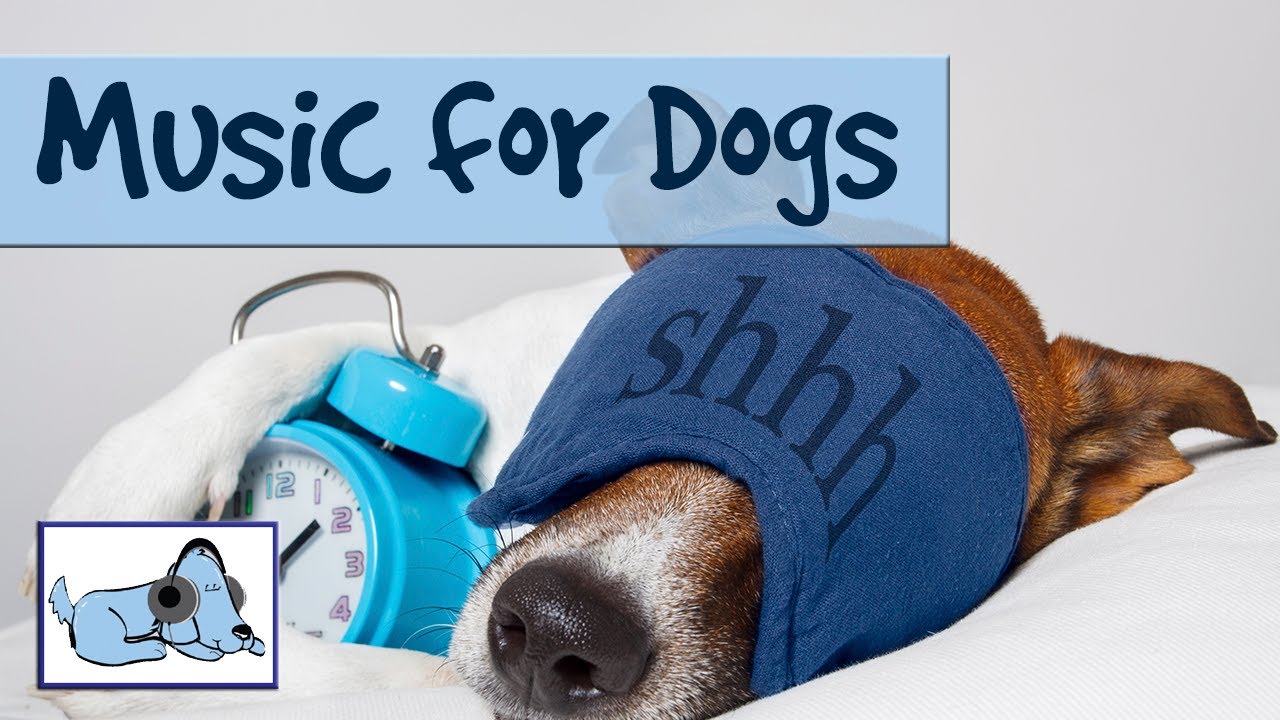 15+ minutes of calming dog music. Music to make dogs sleep! Relaxing