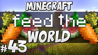 Feed The World - #43 Carrot Patch!