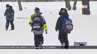 Бердские школьники будут отдыхать 14 дней
