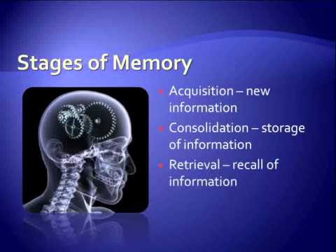 what supplements should i take to help with memory