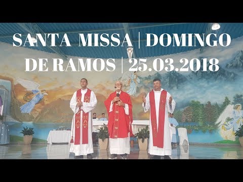 Santa Missa | 25.03.2018 | Domingo de Ramos | Padre Jos Sometti | ANSPAZ