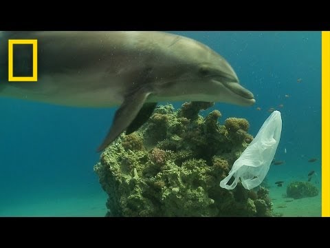 How We Can Keep Plastics Out of Our Ocean