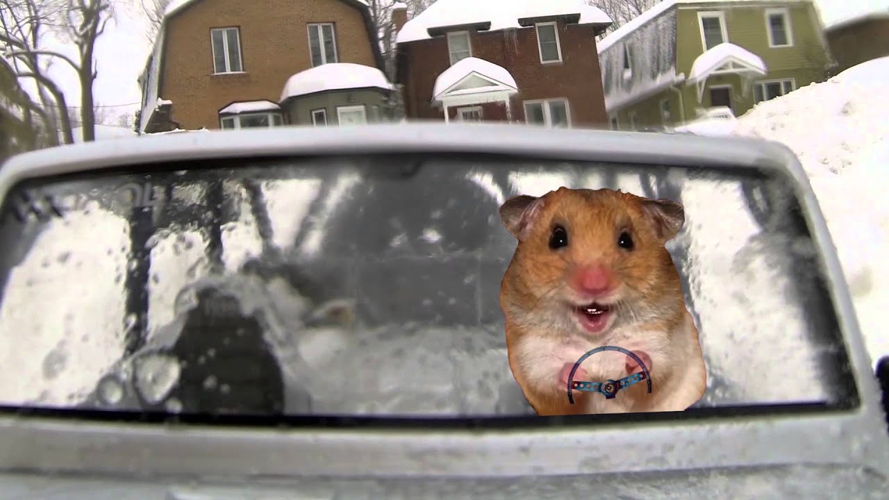 Harold Hamster driving video out takes series 1 YouTube
