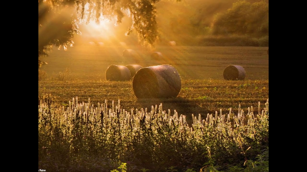 The Beautiful English Countryside - A Virtual Walk - YouTube