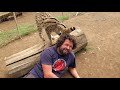 Wild Cat Loves Cameraman's Hair | Crazy Cameramen Ep06