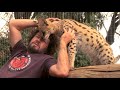 Wild Cat Loves Cameraman's Hair | Crazy Cameramen Ep06