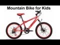 20 inch MTB -- Ferrari CX 30 Review Mountain Bicycle - YouTube