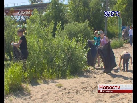 В Искитиме проходит акция «Чистый берег» В Искитиме проходит акция «Чистый берег»