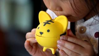 Weird Japanese Toys - Chiwawa Whistle?