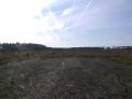 chasse alouette des champs aux pantes dans les landes
