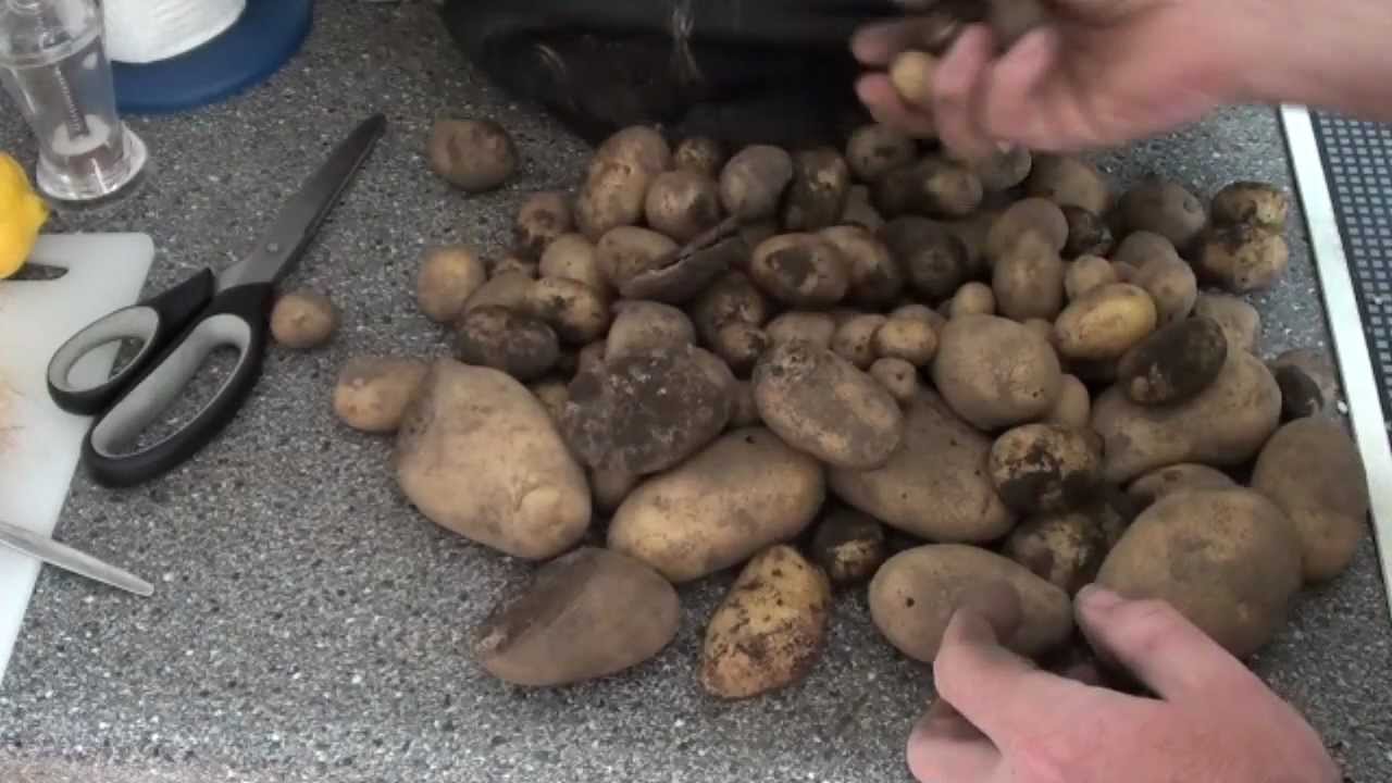 How to store po...
