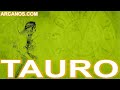 Video Horscopo Semanal TAURO  del 11 al 17 Diciembre 2022 (Semana 2022-51) (Lectura del Tarot)