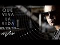 Wisin - Que Viva La Vida (El Sobreviviente) 2013 con Letra