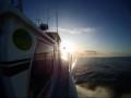Alaska Fishing Charters Seward Alaska Halibut Fishing and Salmon Fishing