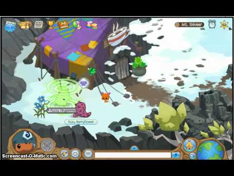 Animal jam journey book mt. shiveer - YouTube