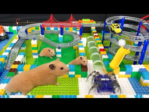 My Cute Hamster in Robot City Maze Obstacle Course - Funny Hamster Escape Robot Spider