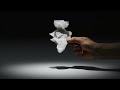 Tissue Animals