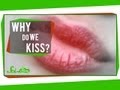 Why Do We Kiss?