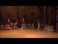 Don Quixote - Evgenia Obraztsova - Cupid Variation