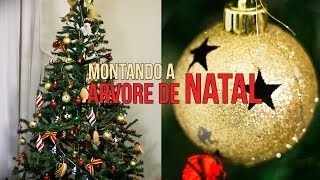 Montando a Árvore de Natal (2013)