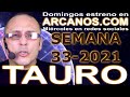 Video Horscopo Semanal TAURO  del 8 al 14 Agosto 2021 (Semana 2021-33) (Lectura del Tarot)