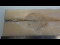 .45 ACP SHORT BARREL TEST: 230 gr +P Federal HST