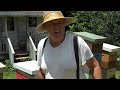Honey in the Brood Chamber- Remove it!