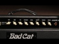 Bad Cat COUGAR 50 Demo - YouTube