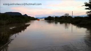 El oso de la inundación.