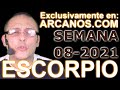 Video Horscopo Semanal ESCORPIO  del 14 al 20 Febrero 2021 (Semana 2021-08) (Lectura del Tarot)
