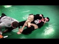 2 Cops vs. 1 MMA Fighter