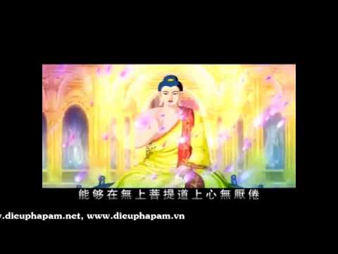 Sự Tích Phật Thích Ca Mâu Ni (Theo Kinh Bi Hoa) (Tập 22)