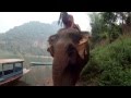 La chapiteam au Laos à dos d'éléphant